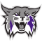 Weber State Wildcats logo