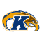 Kent State Golden Flashes logo