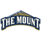 Mount St. Mary's Mountaineers logo