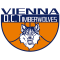 Vienna D.C. Timberwolves logo