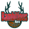 Bambitious Nara logo