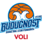 U18 Buducnost VOLI logo