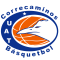 Correcaminos UAT logo