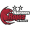 Halcones Rojos de Veracruz logo