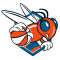 Charlotte Sting logo