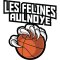 Aulnoye logo