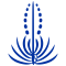Chaminade Silverswords logo