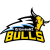 Franklin Bulls logo