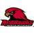 Martin Methodist Red Hawks logo