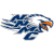 Northern New Mexico Eagles logo