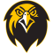 Pfeiffer Falcons logo