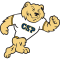 Concordia St. Paul Golden Bears logo