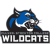 Culver-Stockton Wildcats logo