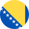 Bosnia and Herzegovina (W) logo