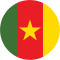 Cameroon logo