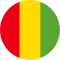 Guinea logo