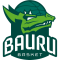 Bauru logo