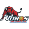 Toros de Aragua logo