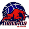 Taurinos de Aragua logo