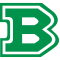 Benetton Treviso logo