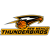New Mexico Thunderbirds logo
