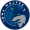 Iowa Wolves logo