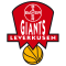 Bayer Giants Leverkusen logo
