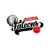Nurnberg Falcons BC logo