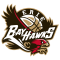 Erie BayHawks logo