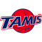 Tamis logo