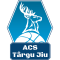 CSM Targu Jiu logo