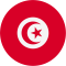 Tunisia logo