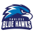 Vaerlose Blue Hawks logo