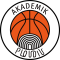 Academic Bultex 99 logo