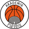 Academic Plovdiv logo