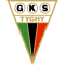GKS Tychy logo