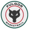 Fulgor Omegna logo