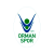 OGM Ormanspor logo