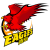 Qingdao Eagles logo