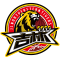 Jilin Tigers logo