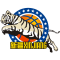 Xinjiang Flying Tigers logo