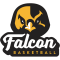 Falcon logo