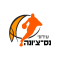 Ness Ziona logo
