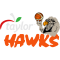 Hawke’s Bay Hawks logo