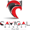 Nice logo