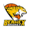 Bernex logo