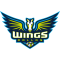 Dallas Wings logo