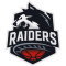 Raiders Basket logo