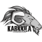 Karkkila logo