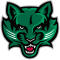 Binghamton Bearcats logo